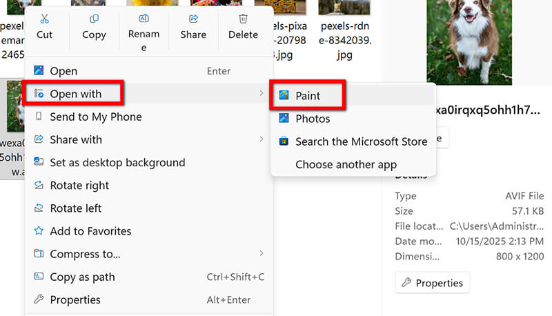 Open Avif In Paint