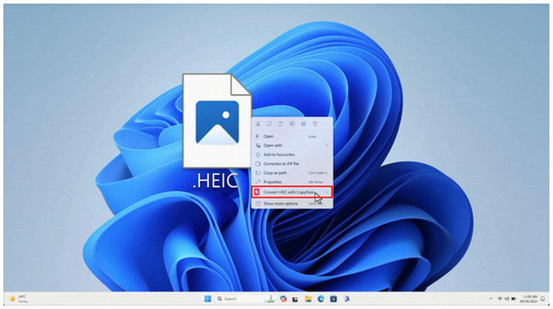 Copytrans Convert Heic Option