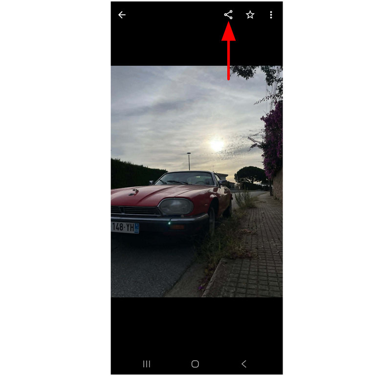 Files By Google Share