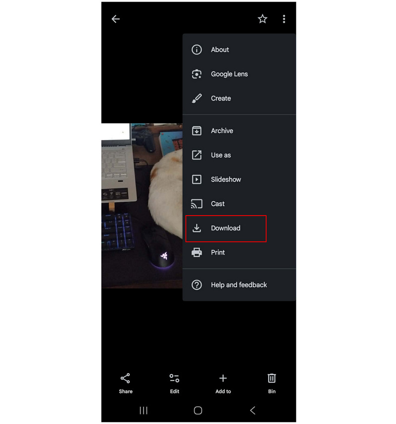 Google Photos Download