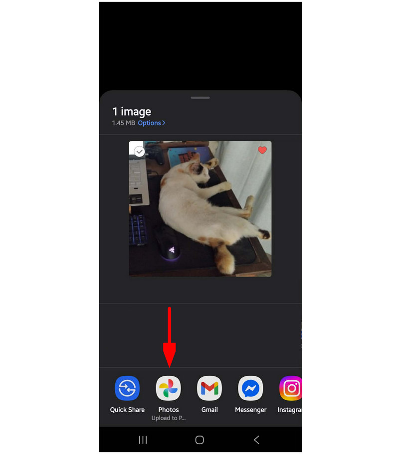 Google Photos Upload
