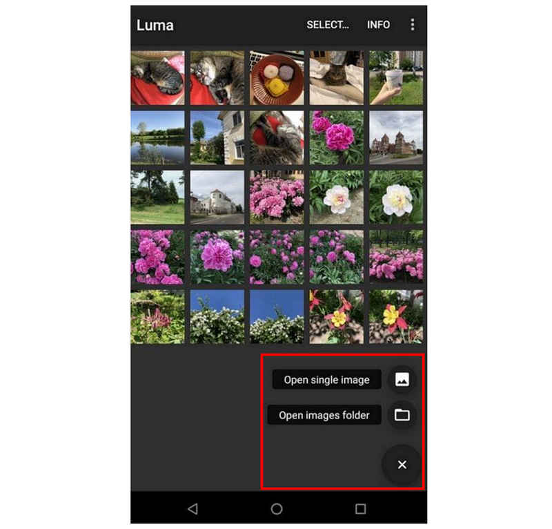Luma Converter Open Single Open Folder