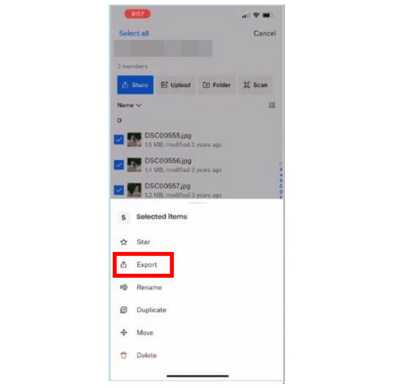 Dropbox Export Button