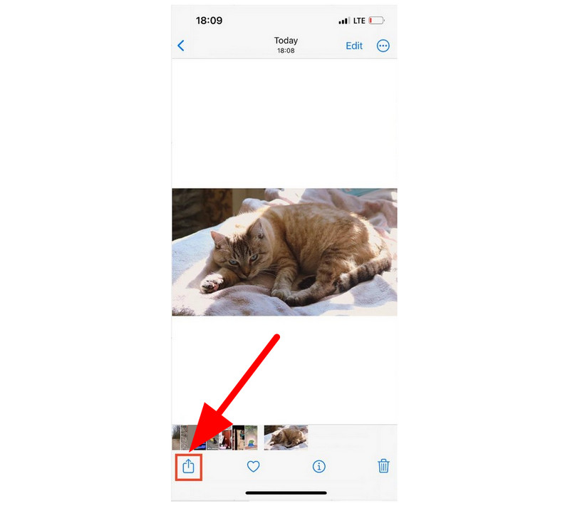 Files Share Button