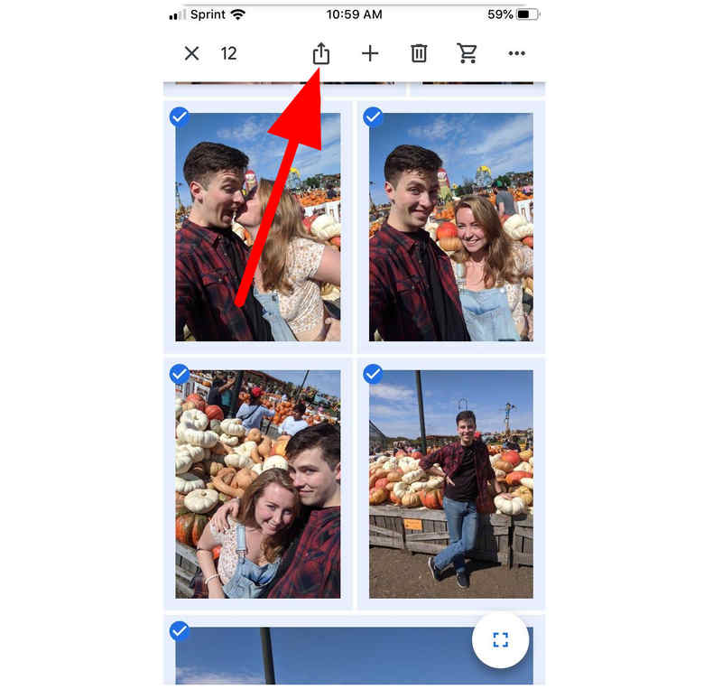 Google Photos Share Button