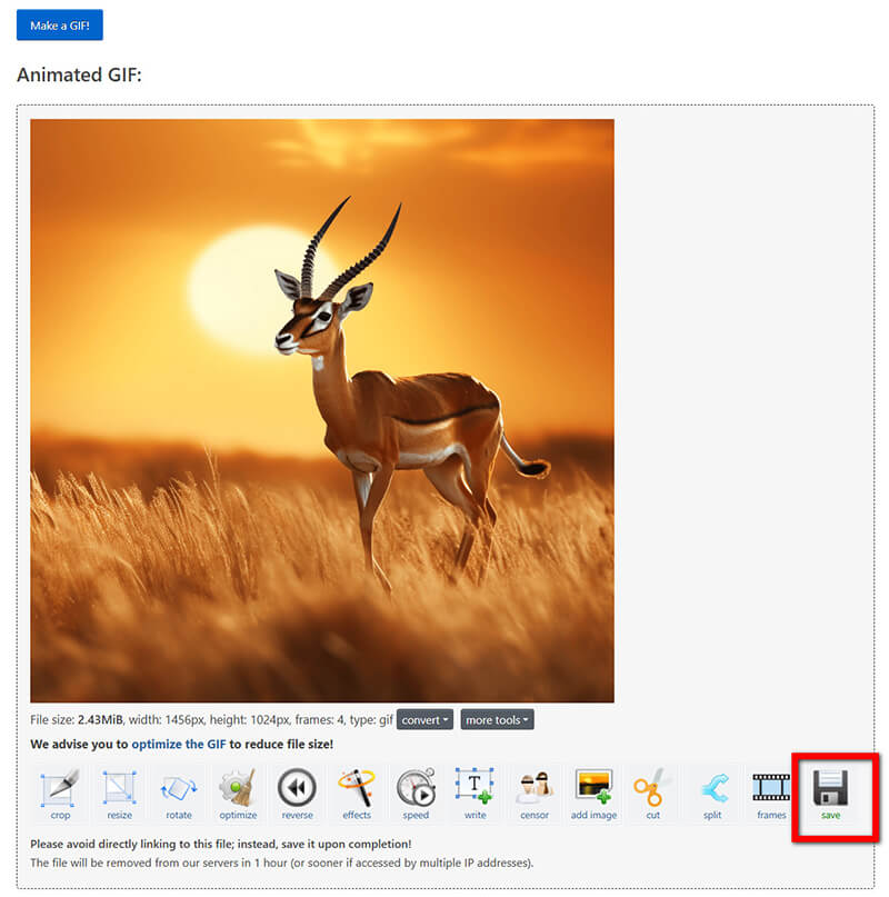 Make Save Gif In Ezgif