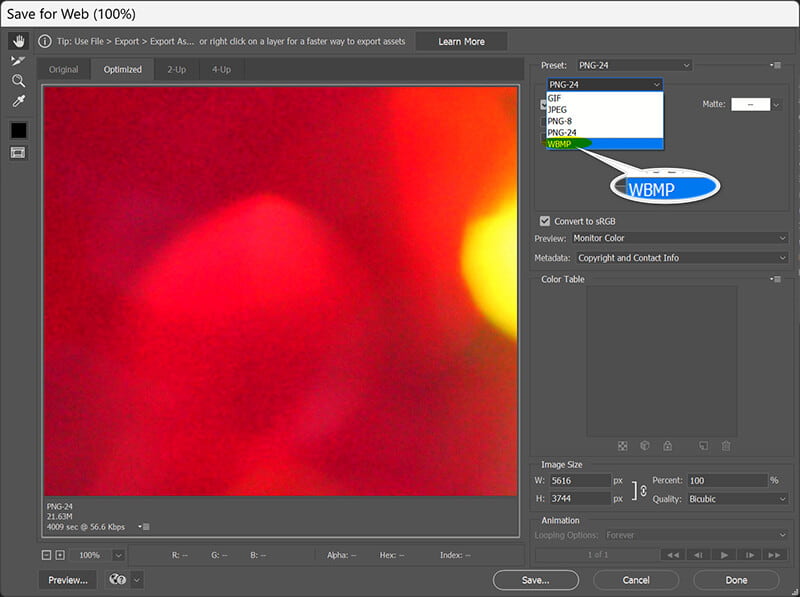 Photoshop Output Webp