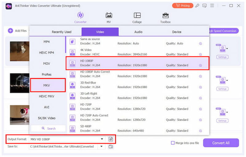 Arkthinker Video Converter Ultimate Output Profile
