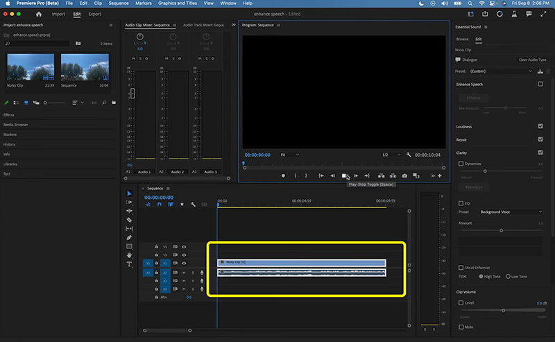 Select Audio Track In Adobe