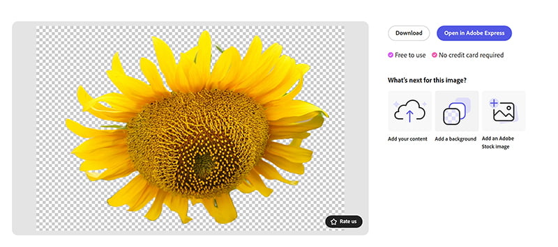Download Image In Adobe Express