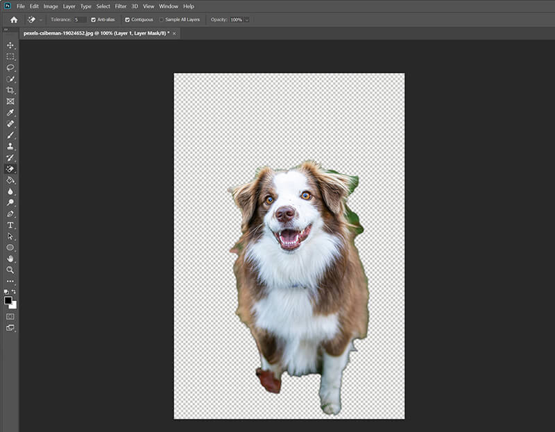 Erase Bg In Photoshop