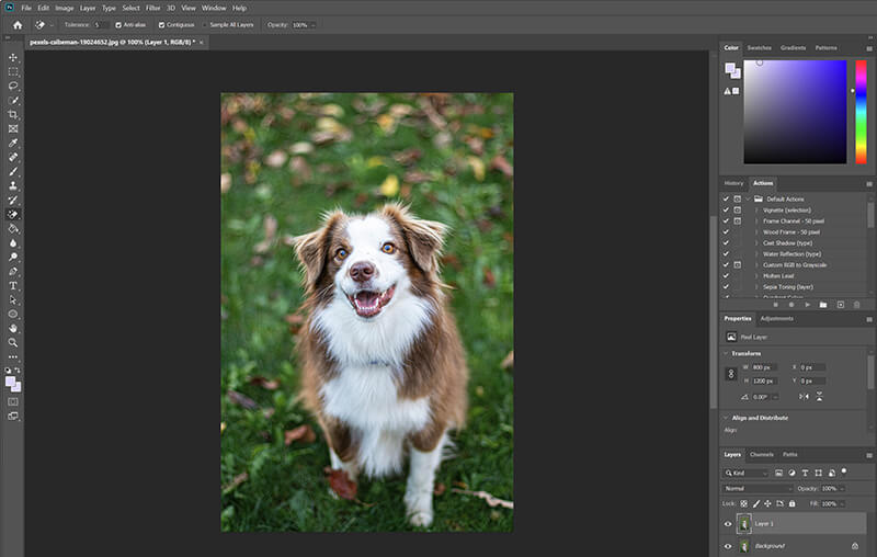 Open Image In Photoshop