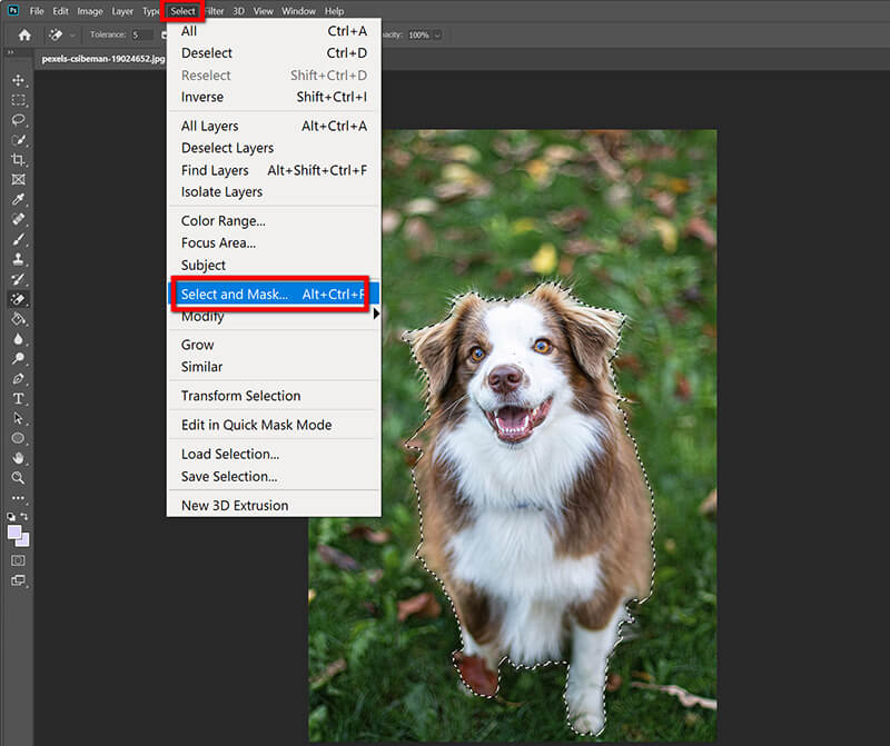 Select Mask In Photoshop