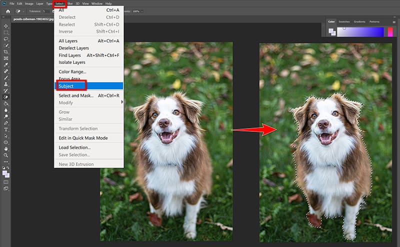 Select Subject In Photoshop