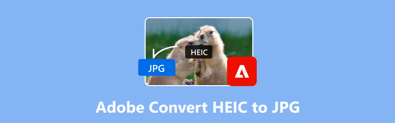 Adobe Convert HEIC to JPG