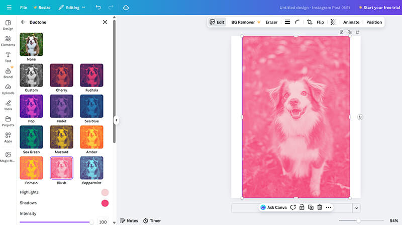 Canva Change Image Color