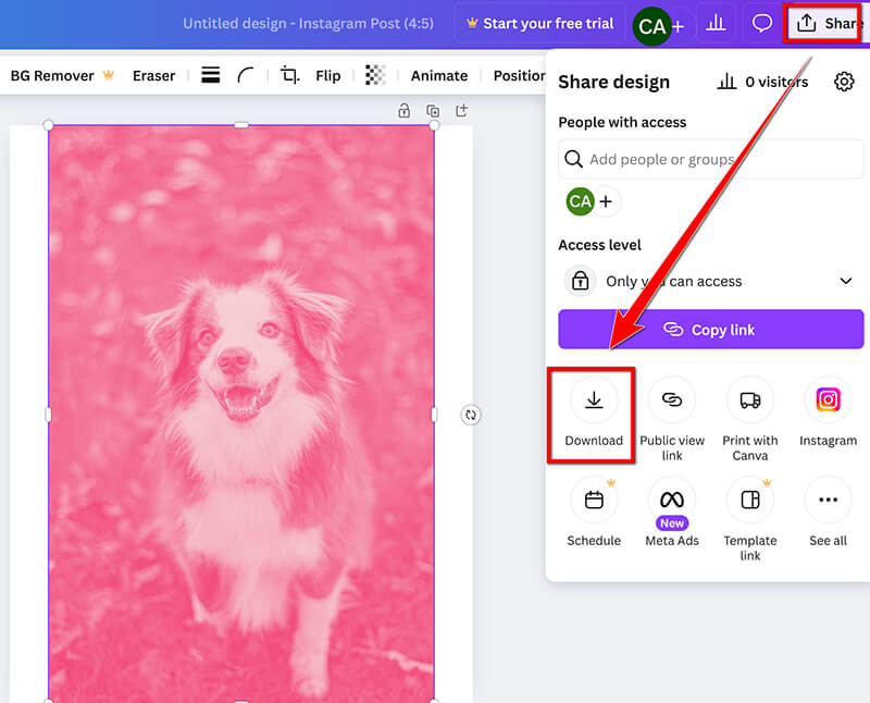 Canva Download Image