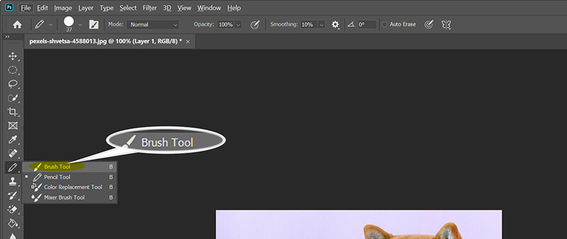 Photoshop Brush Tool