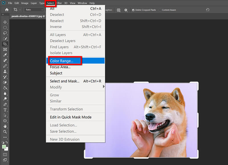 Photoshop Color Range