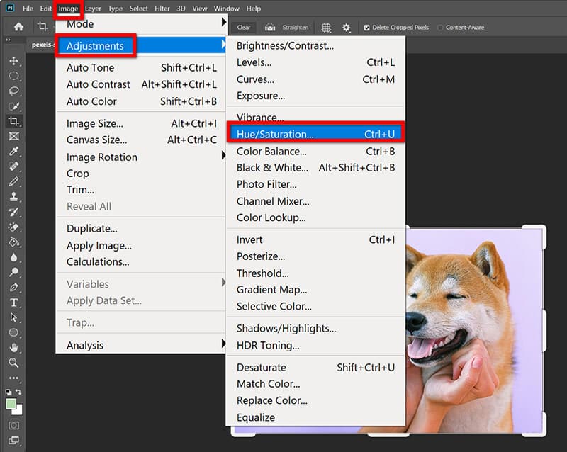 Photoshop Hue Saturation