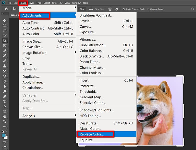Replace Image Color Photoshop