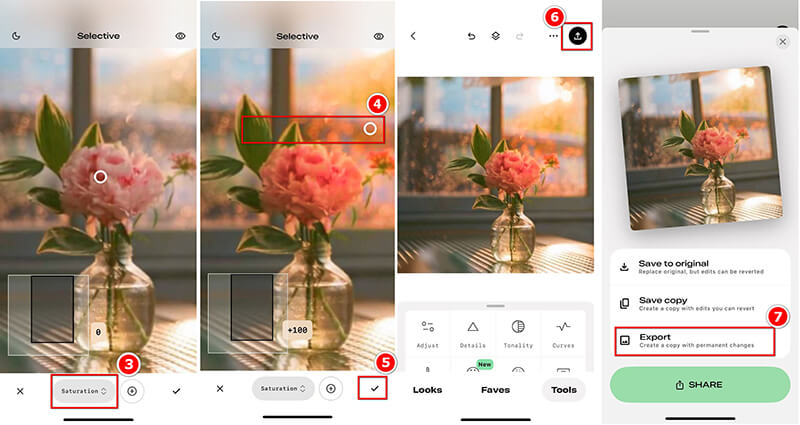 Snapseed Export Colore Iimage