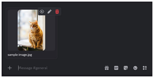 Discord Image Attachment