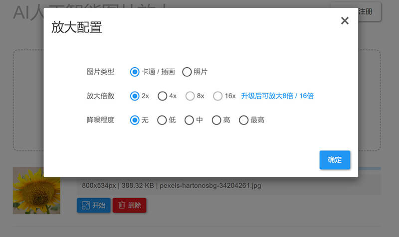 Bigjpg Photo Enlarger