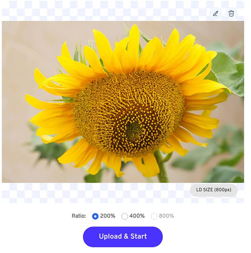 Imglarger Photo Enlarger