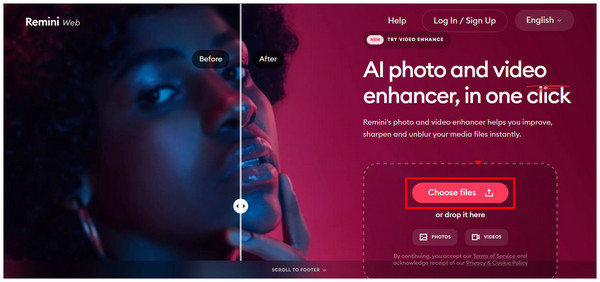 Remini Web Choose File