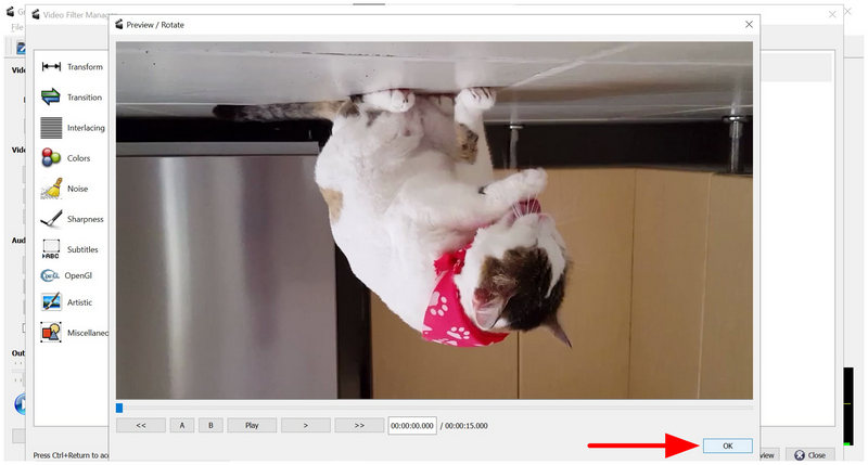 Avidemux Preview OK