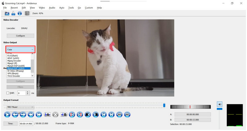 Avidemux Video Output MPEG4