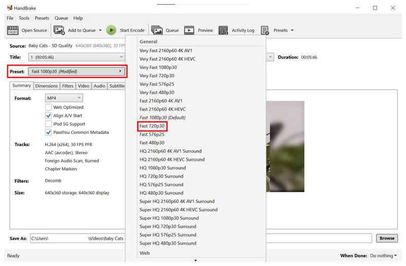 Handbrake Preset Options