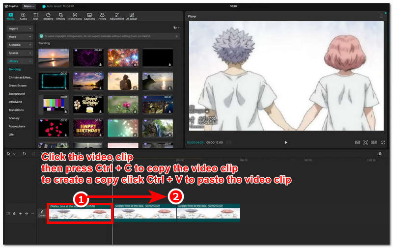 Copy Paste Video Clip