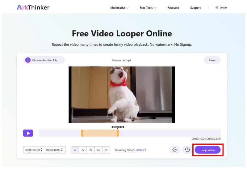 Arkthinker Free Video Looper Online Loop Video