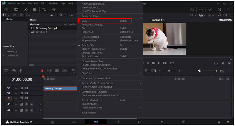 Davinci Resolvedcopy Paste Clip Copy Video
