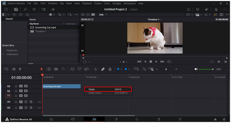 Davinci Resolvedcopy Paste Clip Paste Video