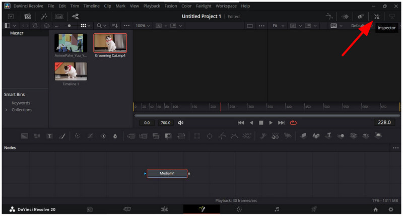 Davinci Resolvefusion Page Inspector Settiong