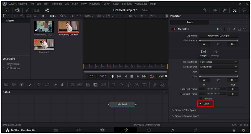 Davinci Resolvefusion Page Loop Setting