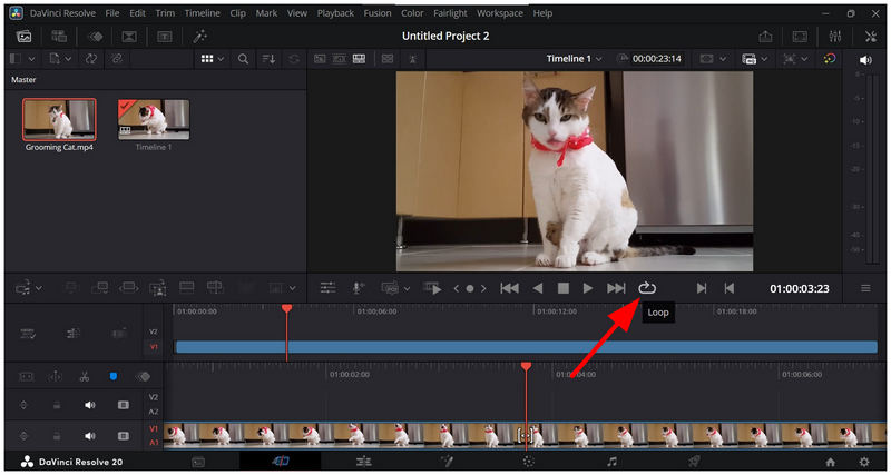 Davinci Resolve Loop Playback Enable Loop Button