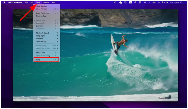Quicktime Player View Loop