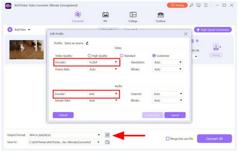 Arkthinker Video Converter Ultimate Output Settings