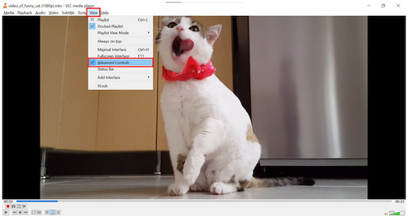 VLC Advanced Controls