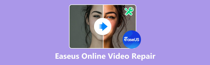 EaseUS Online Video Repair