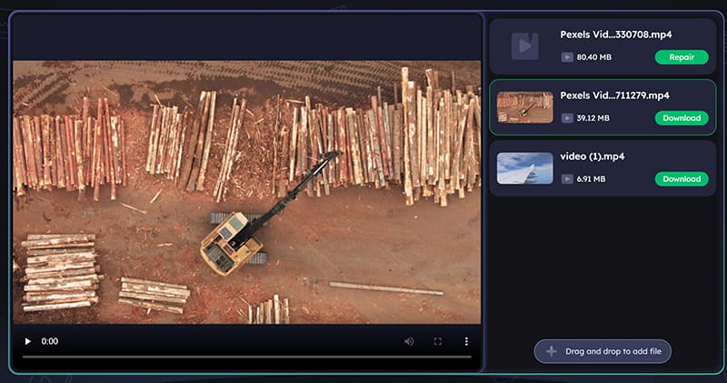 EaseUS Video Repair Online Interface
