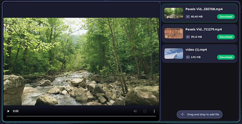 EaseUS Video Repair Online Steps