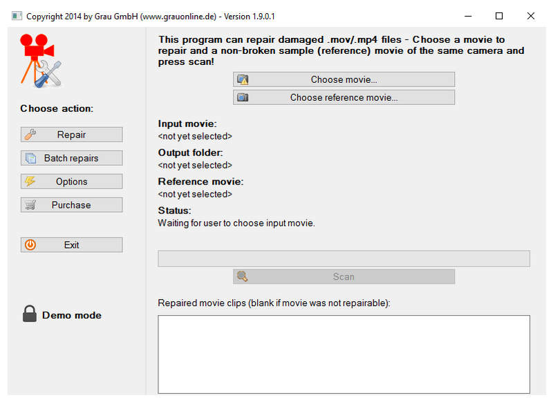 Grau Gmbh Video Repair Interface