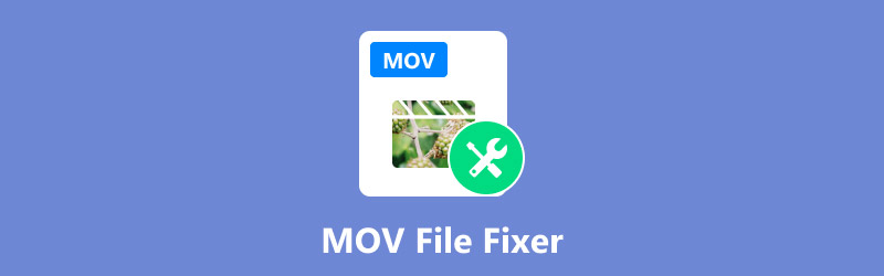 MOV File Fixers