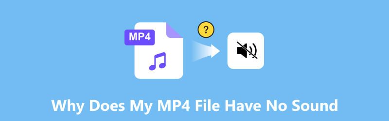 MP4 File Have No Sound