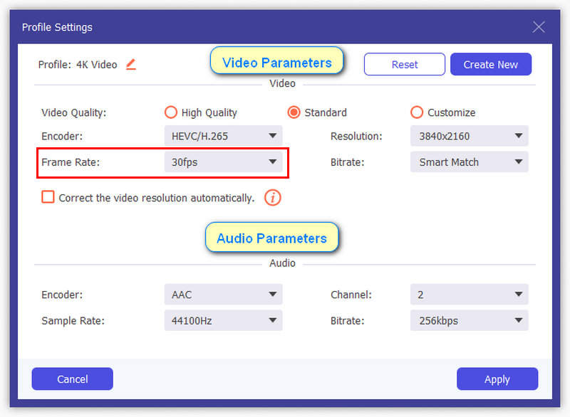 Aiseesoft Video Converter Video Parameters